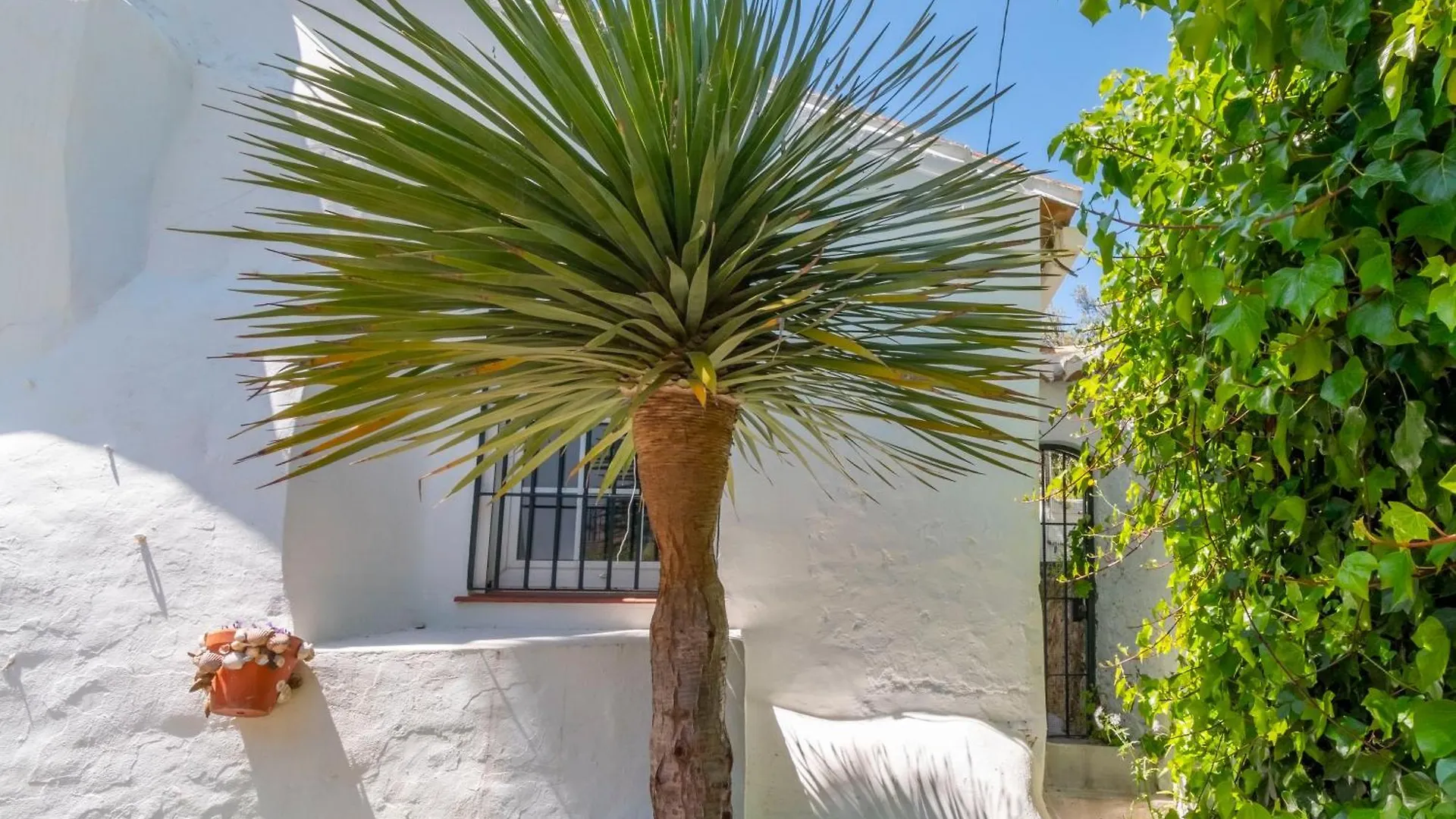 Bed & Breakfast Casa Tragabalas Cómpeta